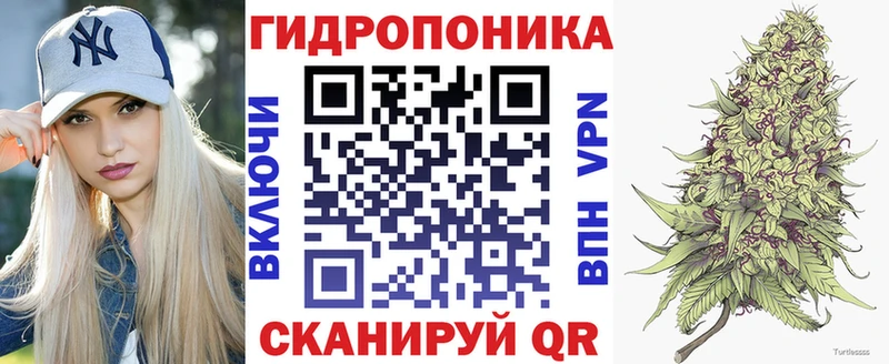 Купить закладки  Отрадный  Бошки Шишки тримм 